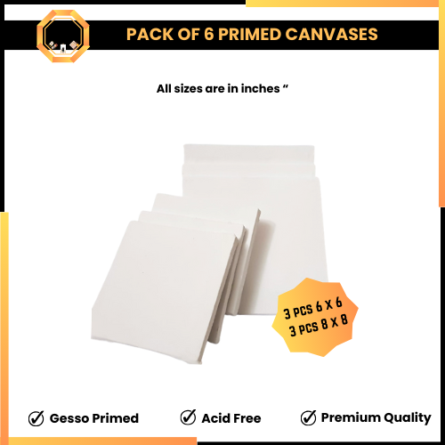 Pack of 6 primed Canvas board for painting - Mix Edition