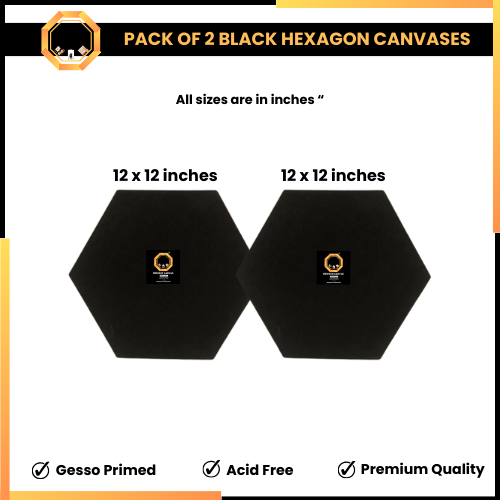 Pack of 2 hexagonal Black Primed Canvas 12 x 12 inches - Limited Edition