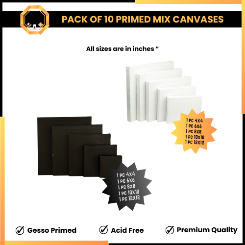 Pack of 10 mix Primed canvas boards for painting - Winter's Premium Deal
