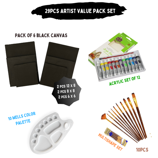 29 Pcs/Set Value Pack For Artist - Black EDITION