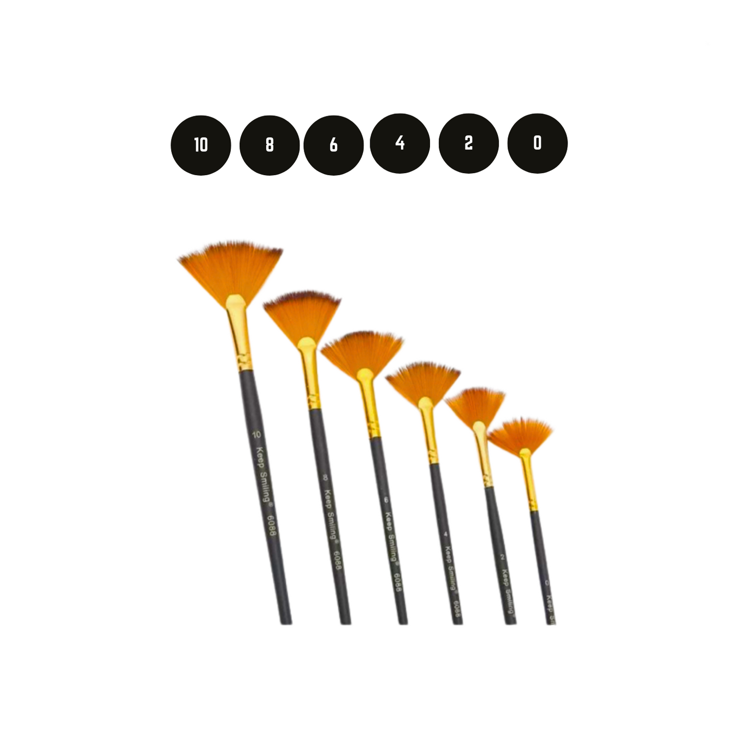 Fan brush set of 6