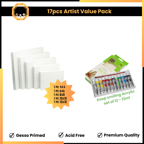 17pcs Artist Value Pack - Paints and Canvas Edition#1