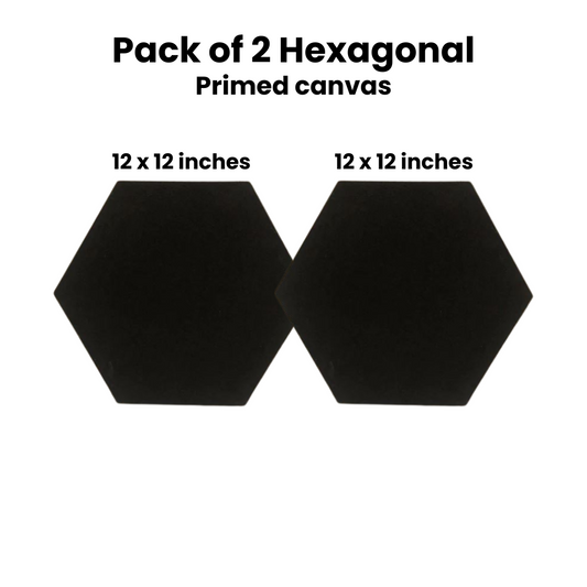 Pack of 2 hexagonal Black Primed Canvas 12 x 12 inches - Limited Edition