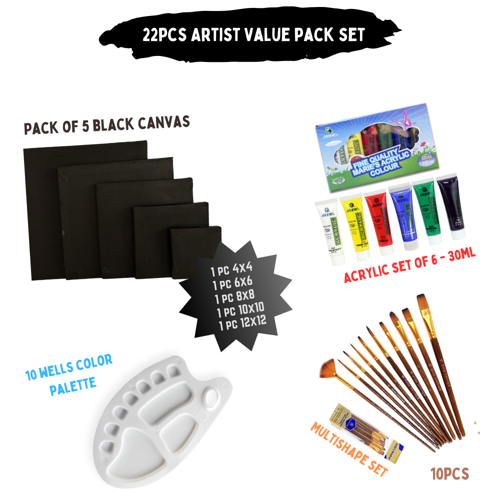 22 Pcs/Set Value Pack For Artist - Premium Edition