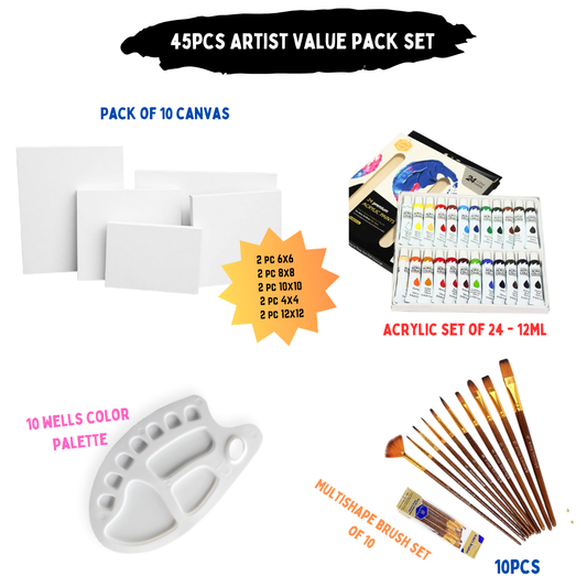 45 Pcs/Set Value Pack For Artist - Professional Edition