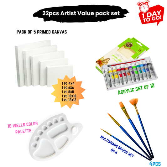 22 Pcs/Set Value Pack For Artist - Top Seller